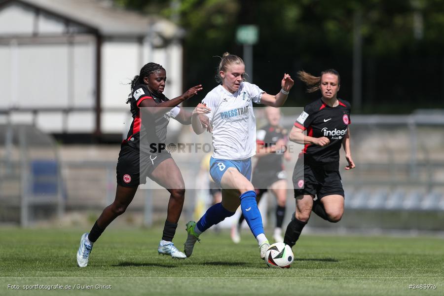 sport, action, Stadion am Brentanobad, SGE, SCS, SC Sand, Fussball, Frankfurt, Eintracht Frankfurt II, DFB, 27.04.2025, 23. Spieltag, 2. Frauen-Bundesliga - Bild-ID: 2483976 sport, action, Stadion am Brentanobad, SGE, SCS, SC Sand, Fussball, Frankfurt, Eintracht Frankfurt II, DFB, 27.04.2025, 23. Spieltag, 2. Frauen-Bundesliga - Bild-ID: 2483976