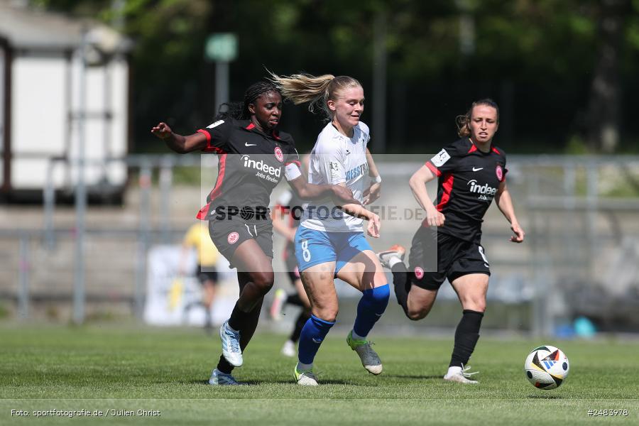 sport, action, Stadion am Brentanobad, SGE, SCS, SC Sand, Fussball, Frankfurt, Eintracht Frankfurt II, DFB, 27.04.2025, 23. Spieltag, 2. Frauen-Bundesliga - Bild-ID: 2483978 sport, action, Stadion am Brentanobad, SGE, SCS, SC Sand, Fussball, Frankfurt, Eintracht Frankfurt II, DFB, 27.04.2025, 23. Spieltag, 2. Frauen-Bundesliga - Bild-ID: 2483978
