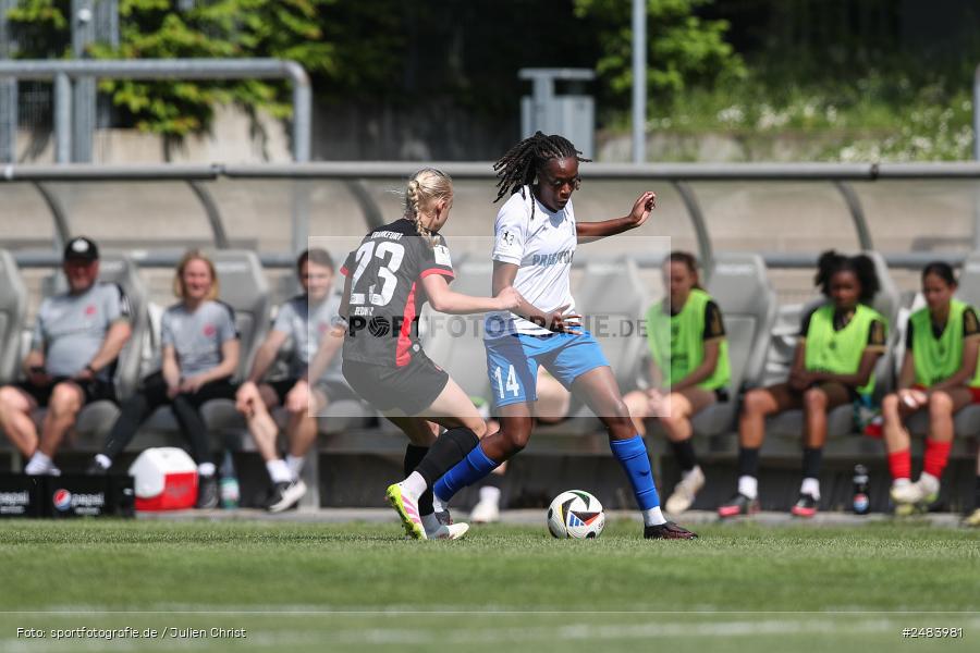 sport, action, Stadion am Brentanobad, SGE, SCS, SC Sand, Fussball, Frankfurt, Eintracht Frankfurt II, DFB, 27.04.2025, 23. Spieltag, 2. Frauen-Bundesliga - Bild-ID: 2483981 sport, action, Stadion am Brentanobad, SGE, SCS, SC Sand, Fussball, Frankfurt, Eintracht Frankfurt II, DFB, 27.04.2025, 23. Spieltag, 2. Frauen-Bundesliga - Bild-ID: 2483981