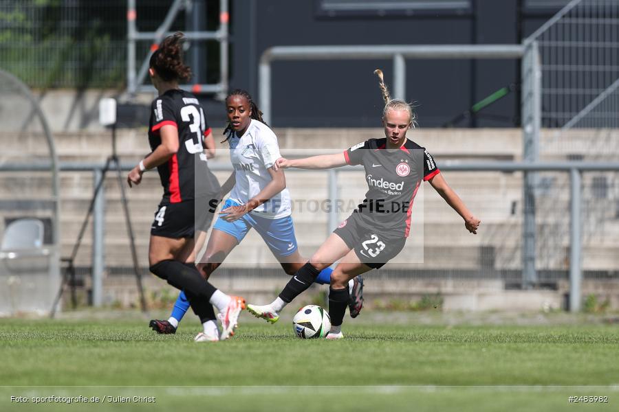 sport, action, Stadion am Brentanobad, SGE, SCS, SC Sand, Fussball, Frankfurt, Eintracht Frankfurt II, DFB, 27.04.2025, 23. Spieltag, 2. Frauen-Bundesliga - Bild-ID: 2483982
