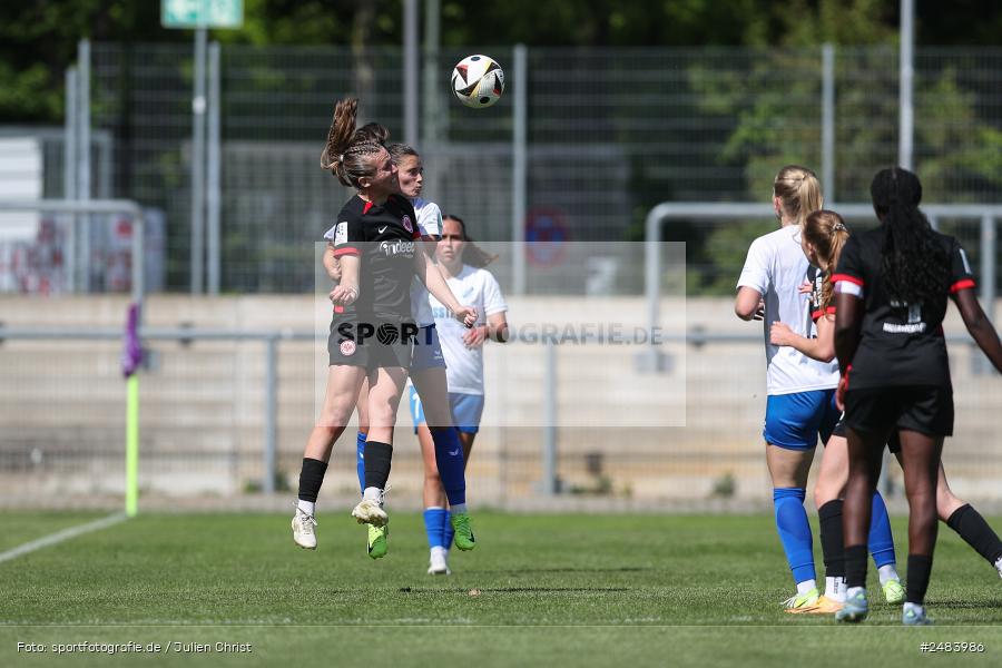sport, action, Stadion am Brentanobad, SGE, SCS, SC Sand, Fussball, Frankfurt, Eintracht Frankfurt II, DFB, 27.04.2025, 23. Spieltag, 2. Frauen-Bundesliga - Bild-ID: 2483986 sport, action, Stadion am Brentanobad, SGE, SCS, SC Sand, Fussball, Frankfurt, Eintracht Frankfurt II, DFB, 27.04.2025, 23. Spieltag, 2. Frauen-Bundesliga - Bild-ID: 2483986