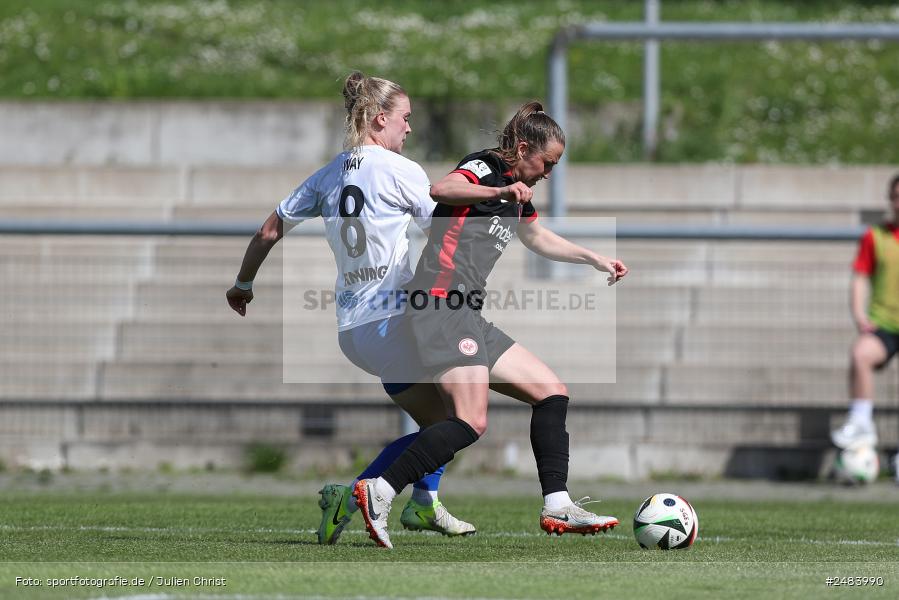 sport, action, Stadion am Brentanobad, SGE, SCS, SC Sand, Fussball, Frankfurt, Eintracht Frankfurt II, DFB, 27.04.2025, 23. Spieltag, 2. Frauen-Bundesliga - Bild-ID: 2483990 sport, action, Stadion am Brentanobad, SGE, SCS, SC Sand, Fussball, Frankfurt, Eintracht Frankfurt II, DFB, 27.04.2025, 23. Spieltag, 2. Frauen-Bundesliga - Bild-ID: 2483990