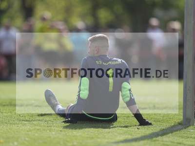 Bild-ID: 2483019