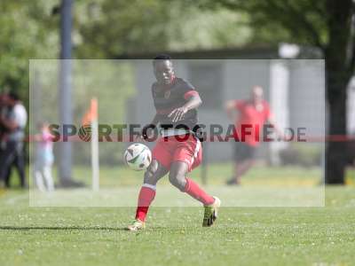 Bild-ID: 2483458