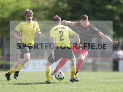 Bild-ID: 2483471