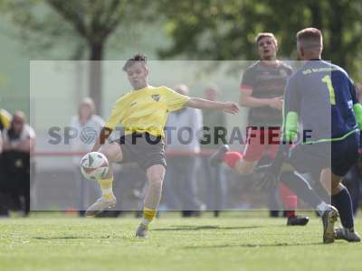 Bild-ID: 2483612