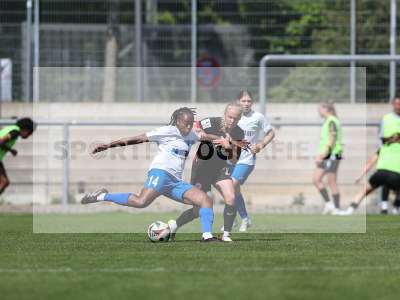 Bild-ID: 2483940