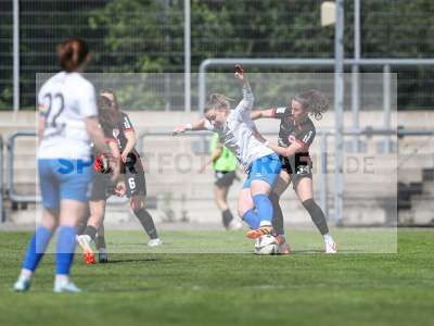 Bild-ID: 2483941