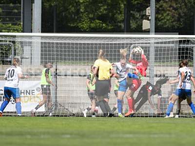 Fotos von Eintracht Frankfurt II - SC Sand auf sportfotografie.de