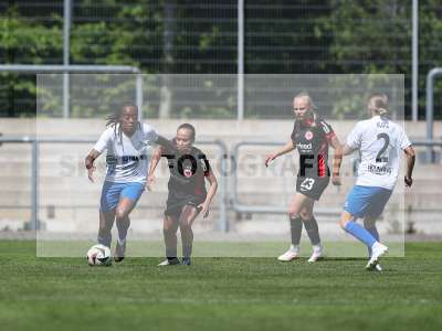 Bild-ID: 2483944