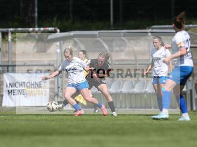 Bild-ID: 2483946