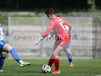 Bild-ID: 2483954