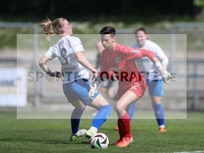 Bild-ID: 2483955