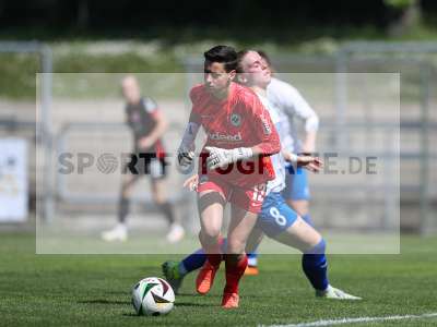 Bild-ID: 2483957
