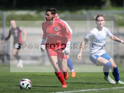 Bild-ID: 2483958