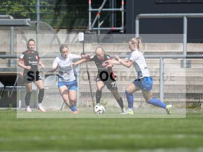 Bild-ID: 2483963