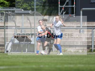 Bild-ID: 2483964