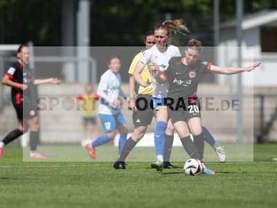 Bild-ID: 2483968