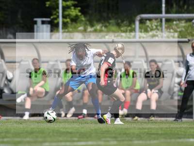 Bild-ID: 2483980