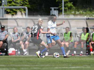 Bild-ID: 2483981