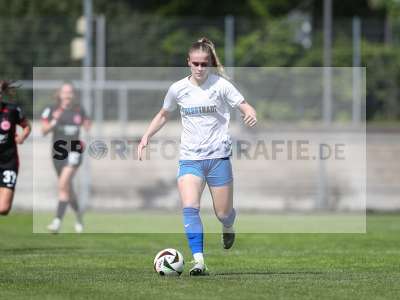 Bild-ID: 2483984