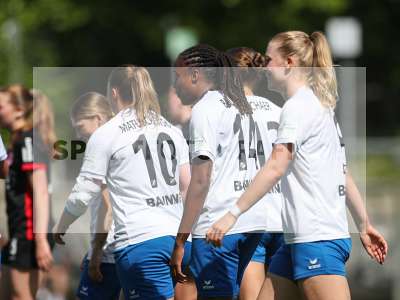 Bild-ID: 2483985