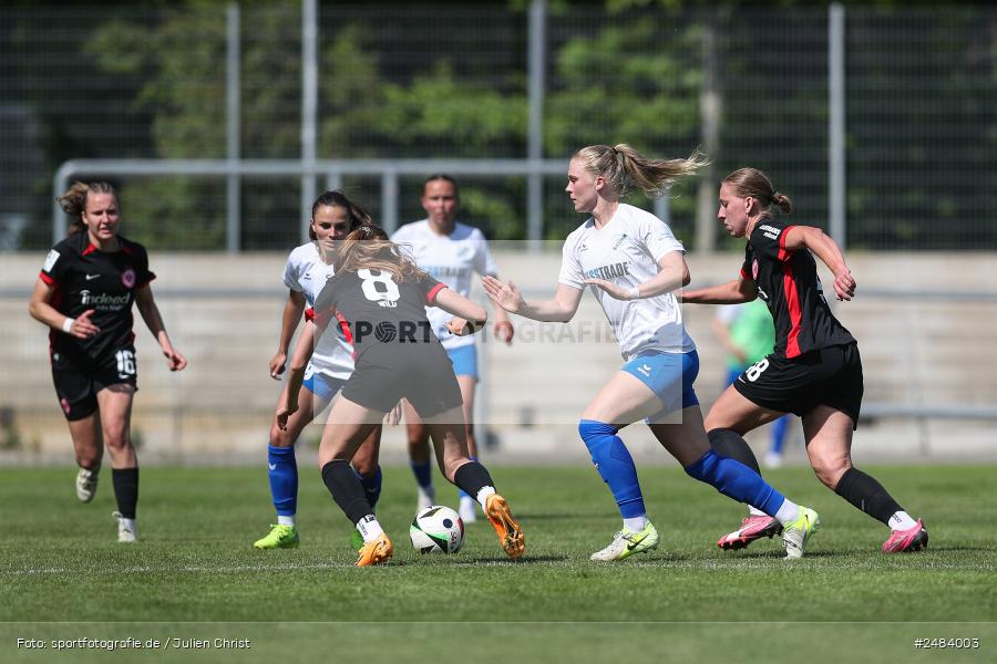 sport, action, Stadion am Brentanobad, SGE, SCS, SC Sand, Fussball, Frankfurt, Eintracht Frankfurt II, DFB, 27.04.2025, 23. Spieltag, 2. Frauen-Bundesliga - Bild-ID: 2484003 sport, action, Stadion am Brentanobad, SGE, SCS, SC Sand, Fussball, Frankfurt, Eintracht Frankfurt II, DFB, 27.04.2025, 23. Spieltag, 2. Frauen-Bundesliga - Bild-ID: 2484003