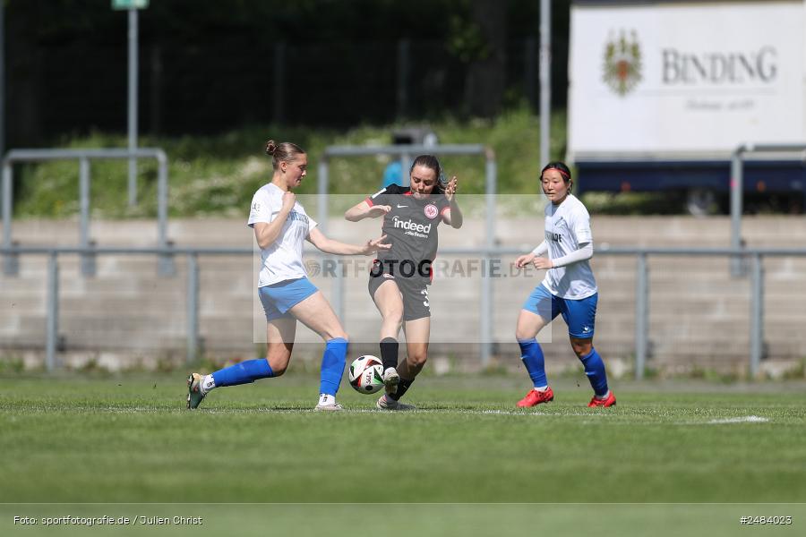 sport, action, Stadion am Brentanobad, SGE, SCS, SC Sand, Fussball, Frankfurt, Eintracht Frankfurt II, DFB, 27.04.2025, 23. Spieltag, 2. Frauen-Bundesliga - Bild-ID: 2484023 sport, action, Stadion am Brentanobad, SGE, SCS, SC Sand, Fussball, Frankfurt, Eintracht Frankfurt II, DFB, 27.04.2025, 23. Spieltag, 2. Frauen-Bundesliga - Bild-ID: 2484023