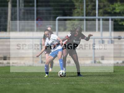 Bild-ID: 2484065