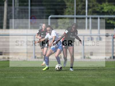 Bild-ID: 2484066