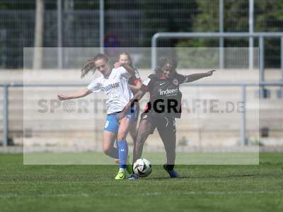 Bild-ID: 2484068