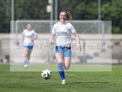 Bild-ID: 2484079