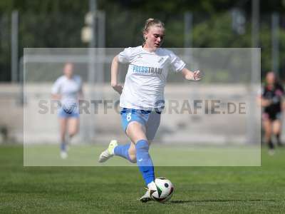 Bild-ID: 2484084