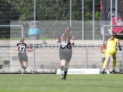 Bild-ID: 2484120