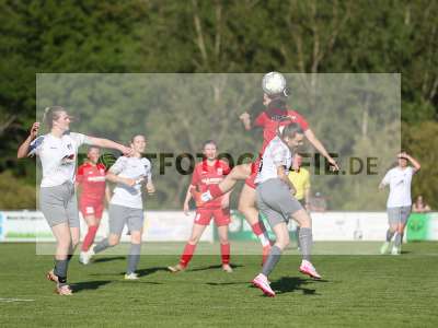 Bild-ID: 2484184