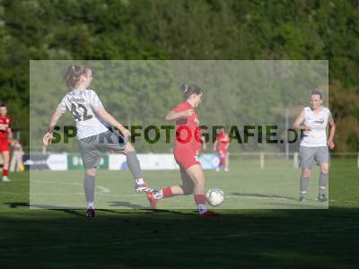 Bild-ID: 2484190