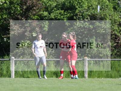 Bild-ID: 2484229