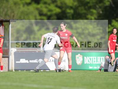 Bild-ID: 2484309