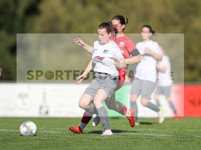 Bild-ID: 2484347