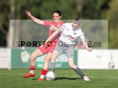 Bild-ID: 2484348