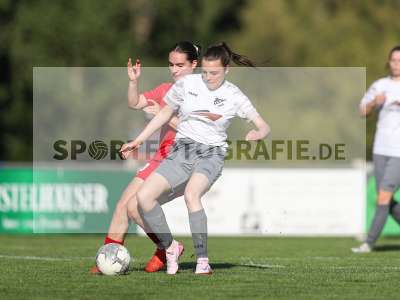 Bild-ID: 2484349