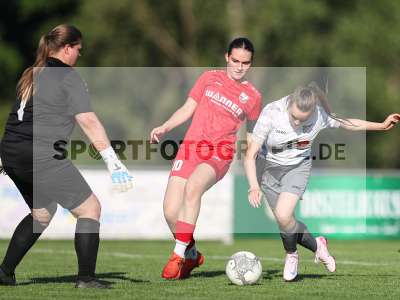 Bild-ID: 2484351