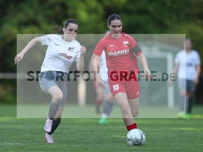 Bild-ID: 2484380