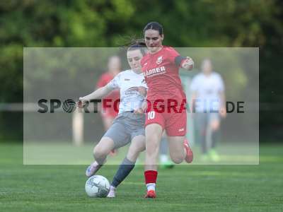 Bild-ID: 2484383