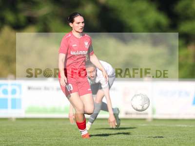 Bild-ID: 2484407