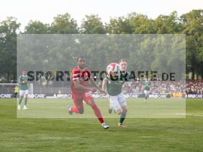 Bild-ID: 2484876