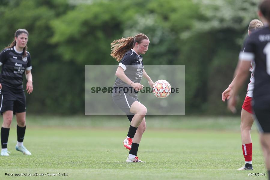 sport, action, Würzburg, Sportpark Heuchelhof, SVW, SV 67 Weinberg II, Fussball, FWK, FC Würzburger Kickers, Bayernliga Frauen, BFV, 17. Spieltag, 03.05.2025 - Bild-ID: 2485993