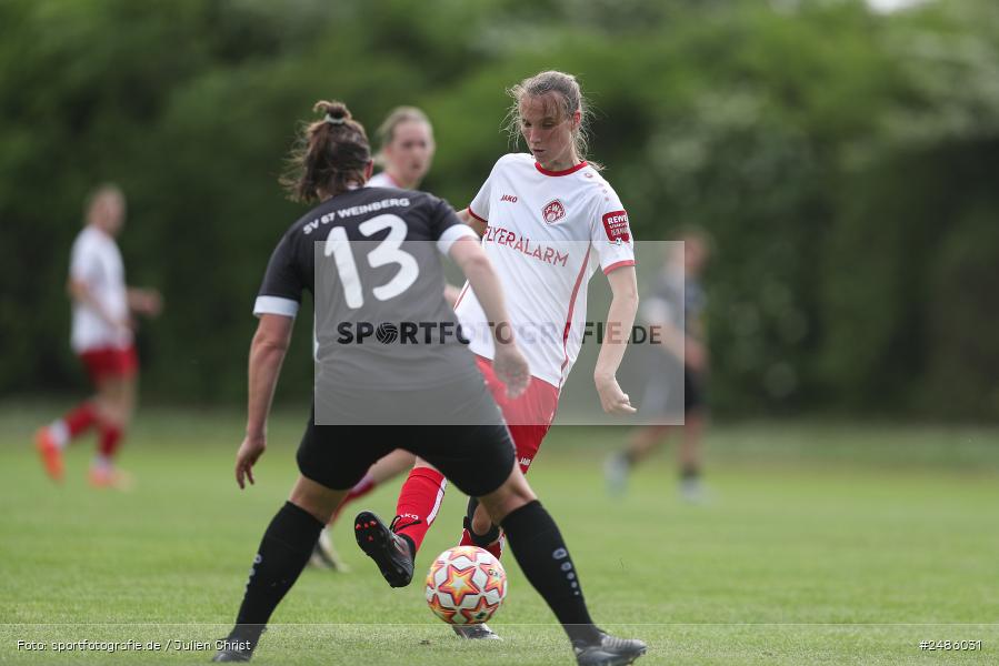 sport, action, Würzburg, Sportpark Heuchelhof, SVW, SV 67 Weinberg II, Fussball, FWK, FC Würzburger Kickers, Bayernliga Frauen, BFV, 17. Spieltag, 03.05.2025 - Bild-ID: 2486031