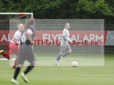 Bild-ID: 2486122
