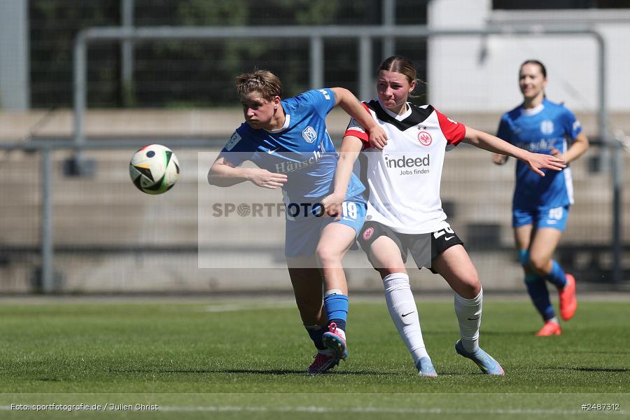 Stadion am Brentanobad, Frankfurt, 11.05.2025, sport, action, DFB, Fussball, 2. Frauen-Bundesliga, 25. Spieltag, SVM, SGE, SV Meppen 1912 e. V., Eintracht Frankfurt II - Bild-ID: 2487312 Stadion am Brentanobad, Frankfurt, 11.05.2025, sport, action, DFB, Fussball, 2. Frauen-Bundesliga, 25. Spieltag, SVM, SGE, SV Meppen 1912 e. V., Eintracht Frankfurt II - Bild-ID: 2487312